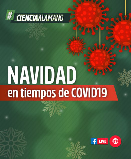 Navidad en tiempos de COVID19